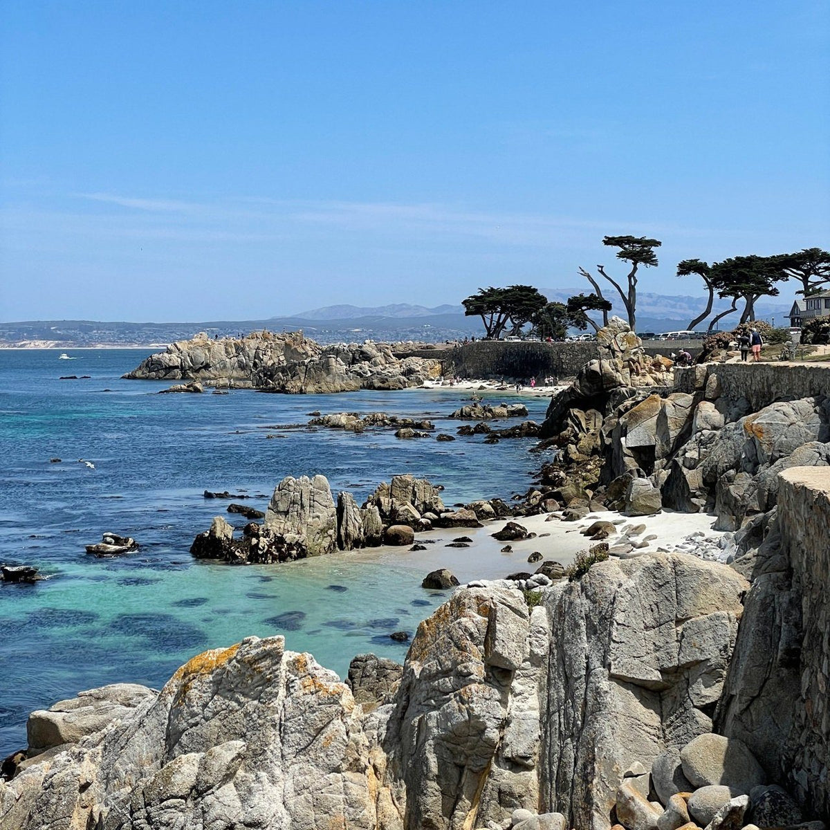 A trip up the coast to Monterey