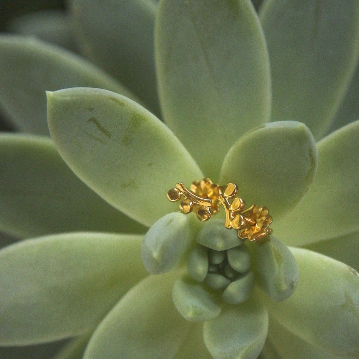 18K yellow gold vermeil sunrise sterling silver studs // 3 rays earrings Amanda K Lockrow