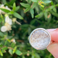 Garden quartz sterling silver ring size 7 - lodalite, shamanic dream quartz - Aislinn collection ring Amanda K Lockrow
