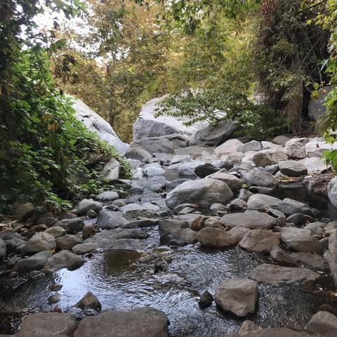 A beautiful hike in Palm Springs