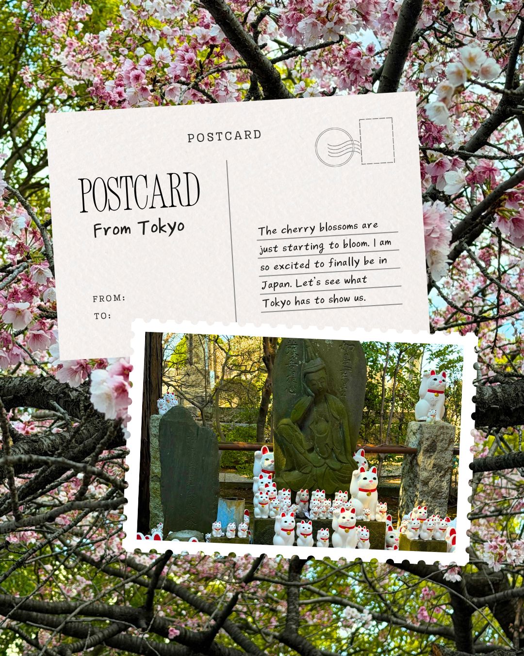 Postcard from Japan - Tokyo part 2