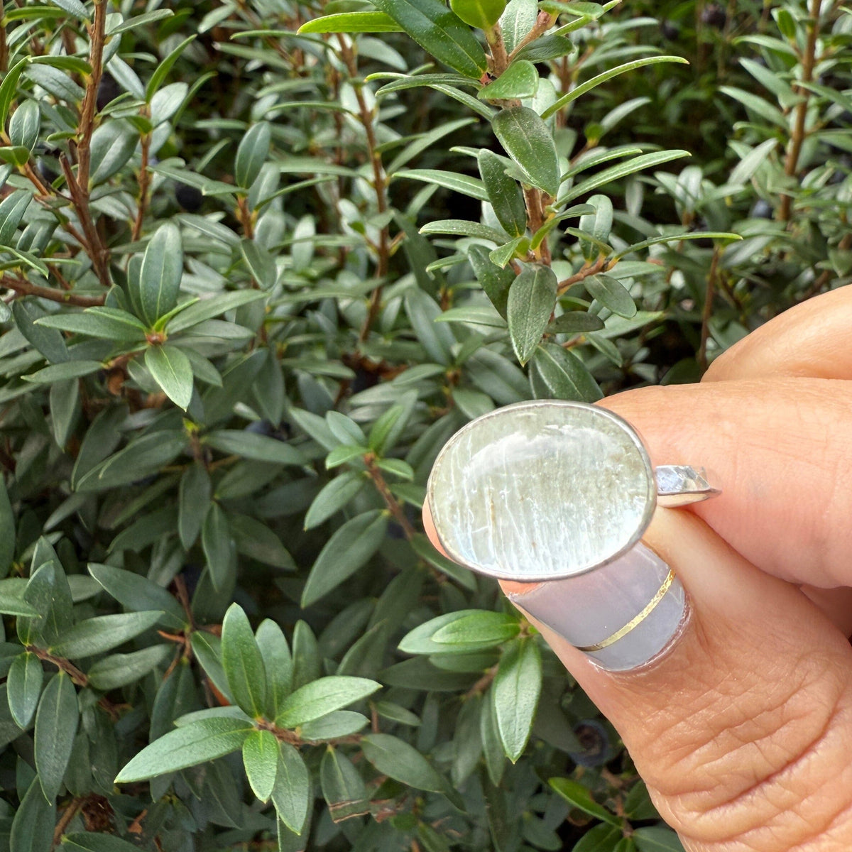 Cats Eye Aquamarine Ring - sterling silver | Size 7 | Stone Love Collection ring Amanda K Lockrow