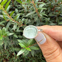 Cats Eye Aquamarine Ring - sterling silver | Size 8 | Stone Love Collection ring Amanda K Lockrow