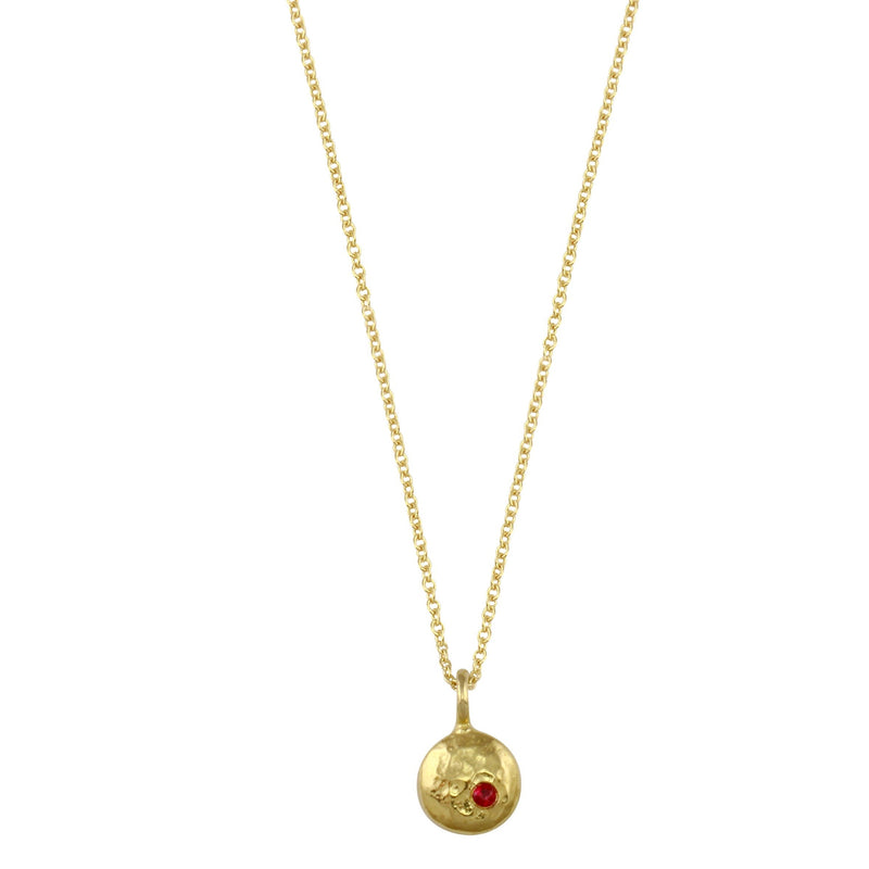 Elemental Pebble Necklace - 14K Yellow Gold and Ruby | Sticks & Stones Collection necklace Amanda K Lockrow