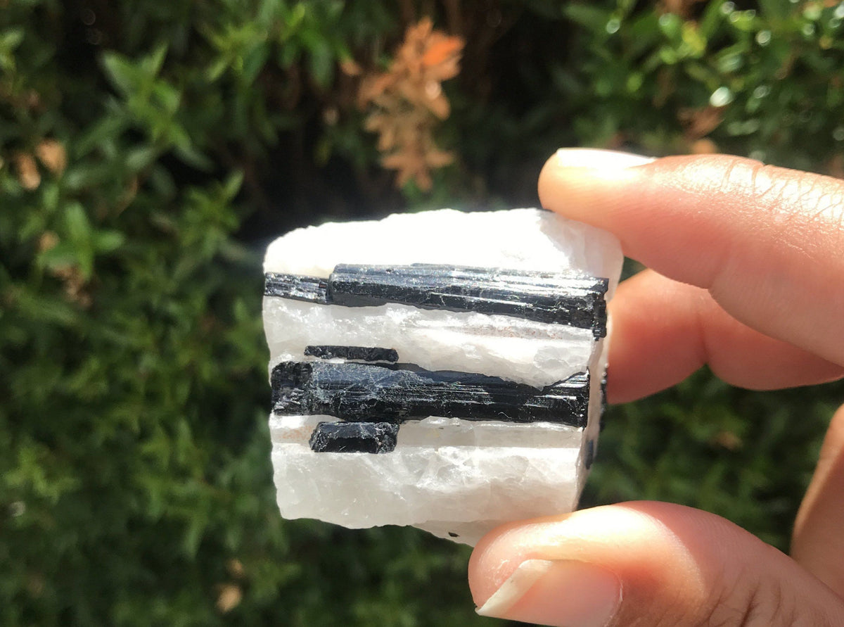 Tourmaline in quartz crystal, tourmalinated quartz, black tourmaline in quartz crystal, crystal gift crystals Amanda K Lockrow 